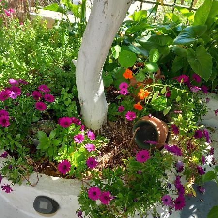 Studio In Garden Poros Town エクステリア 写真