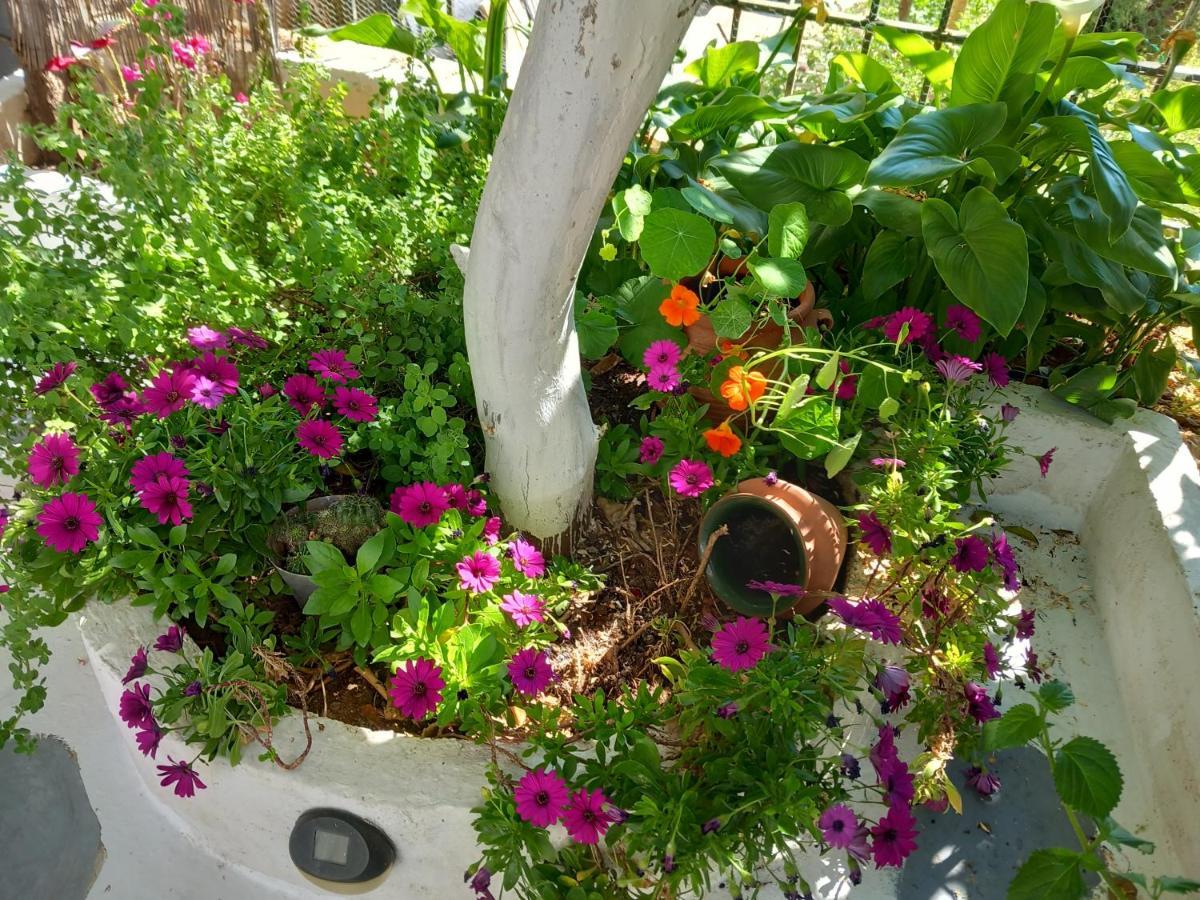 Studio In Garden Poros Town エクステリア 写真